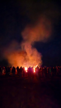 20260404_205829_resized